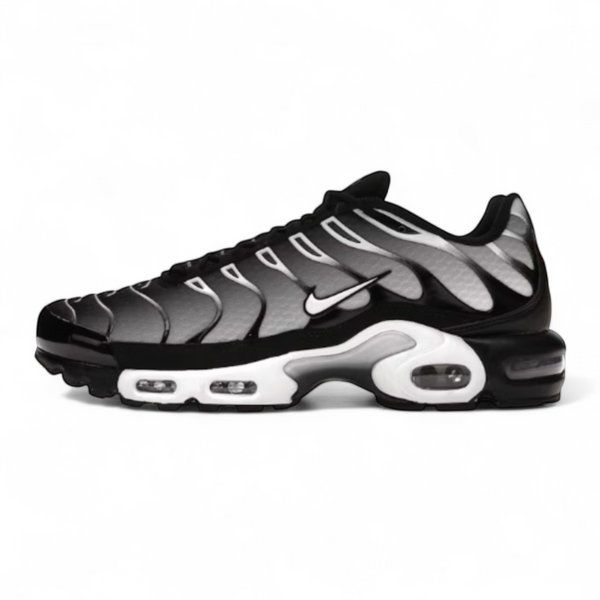 Nike Air Max Plus Black Silver White