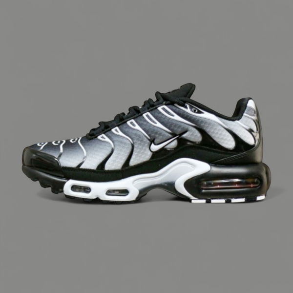 Nike Air Max Plus Black Silver White