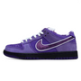 Sb Dunk Low “Concept Purple Lobster”